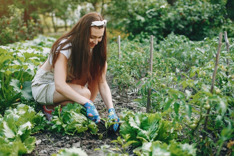 right plants for your climate