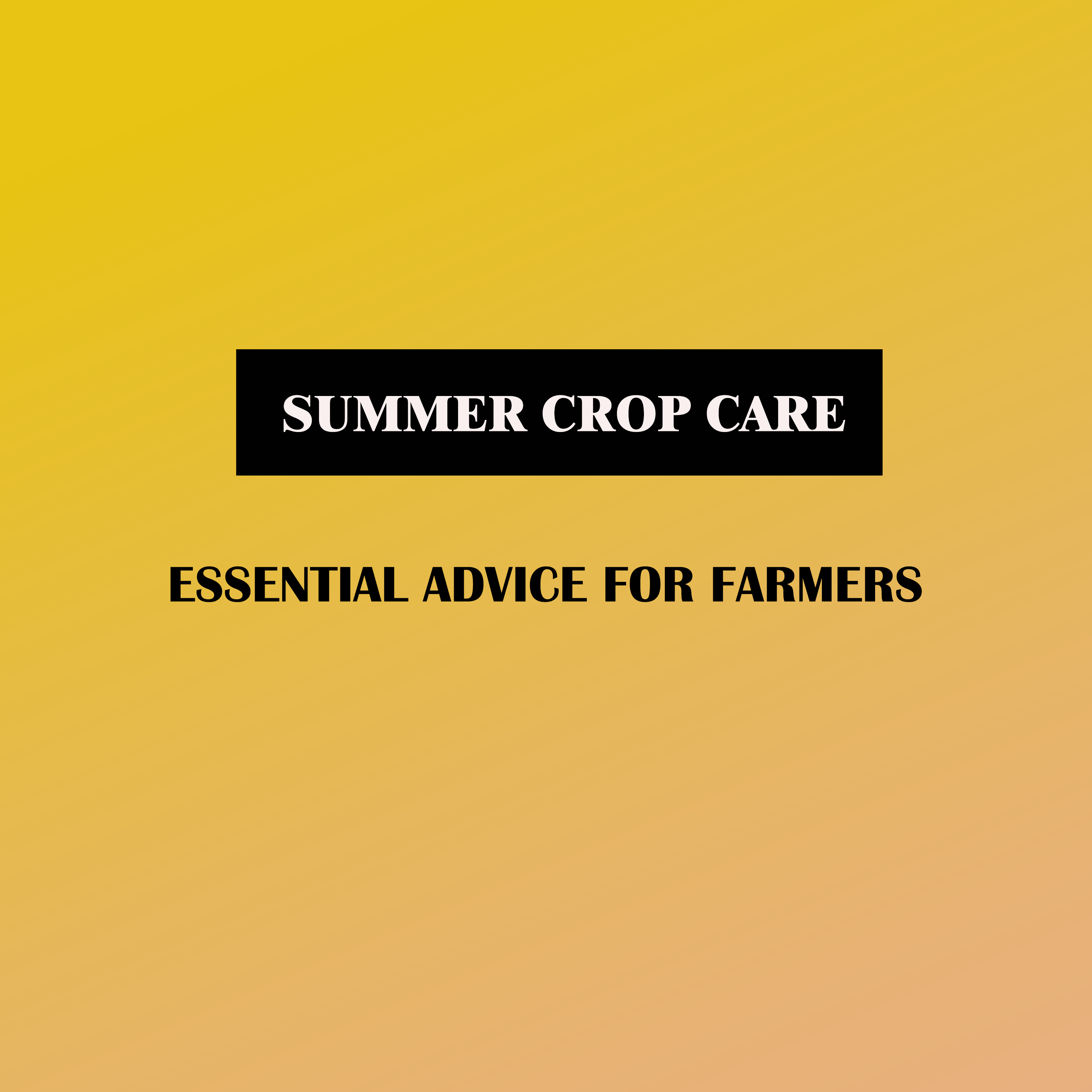 summer crop care