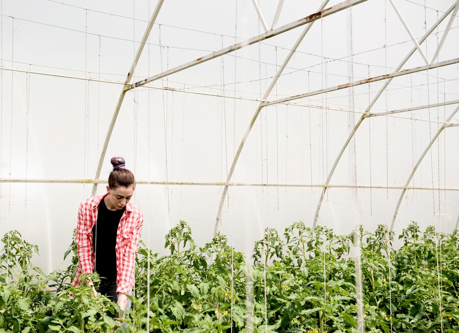 summer farming