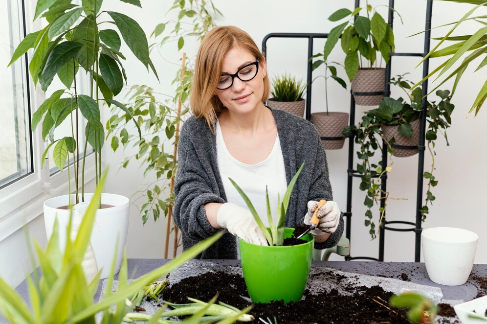 indoor plant fertilization