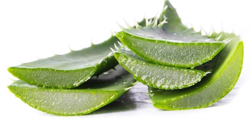 benefits of aloe vera