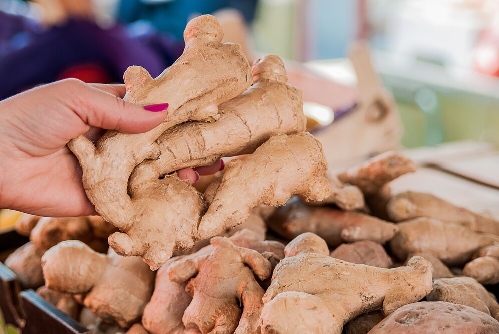 turmeric cultivation